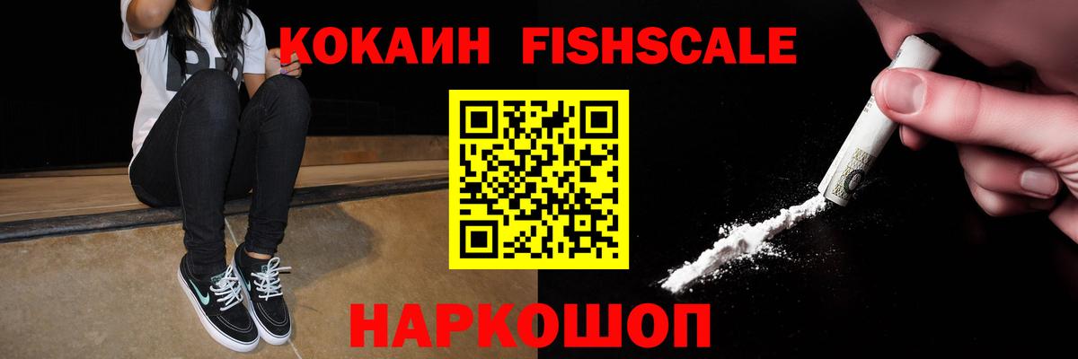 купить наркоту  Кокаин Fish Scale  COCAIN Эквадор  Вход с VPN  Ефремов 