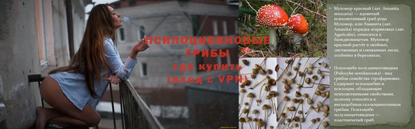 MDMA Заволжск