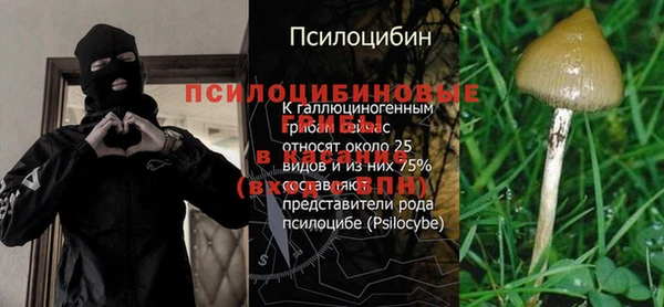 стаф Елабуга