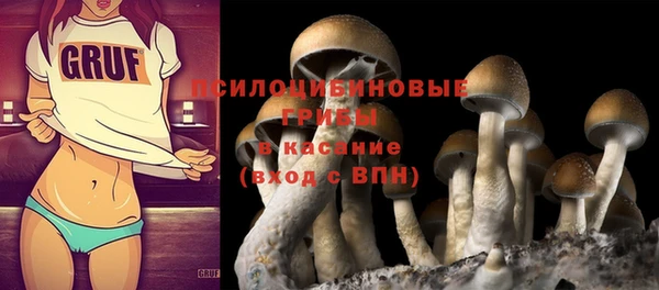 мет Заводоуковск