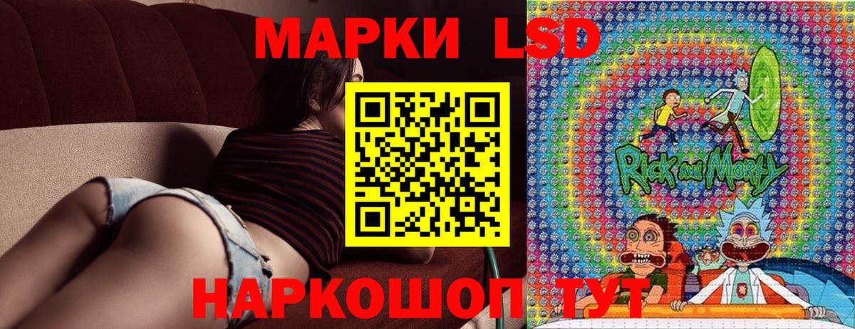 Ефремов  Наркотические марки 1500мкг  Вход с VPN  Наркотические марки 1500мкг 