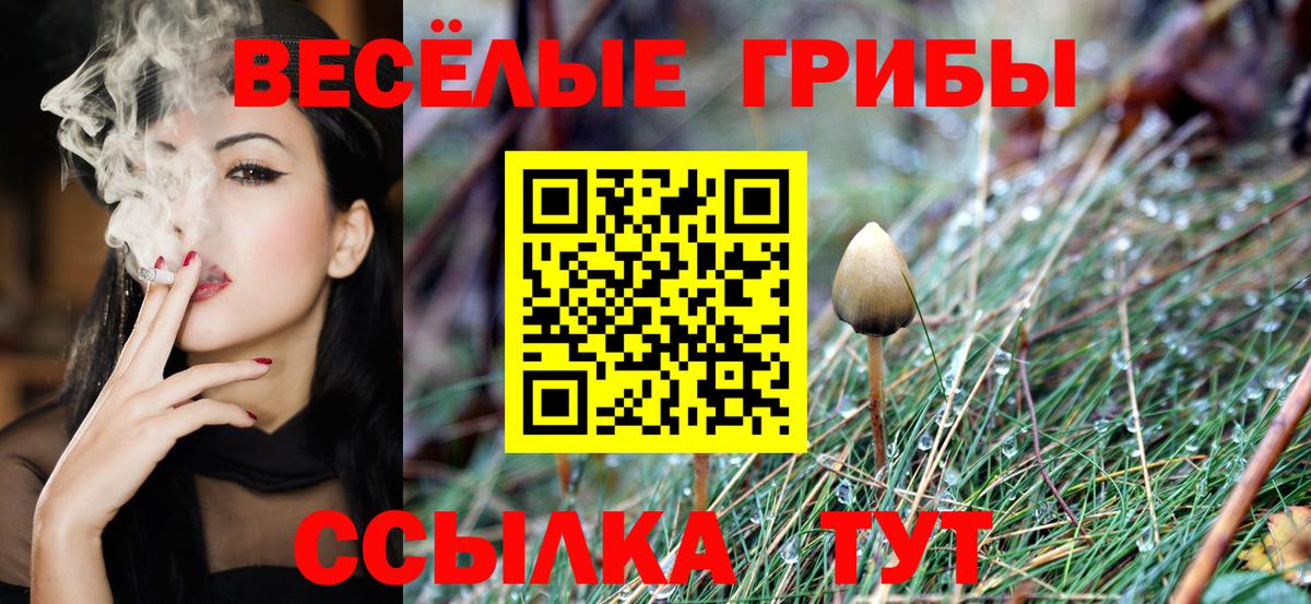Псилоцибиновые грибы GOLDEN TEACHER  Вход с VPN  Ефремов 